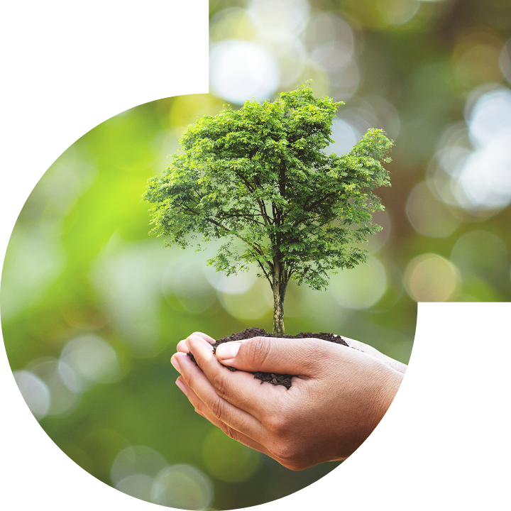 關懷人類、文化、環境與社會